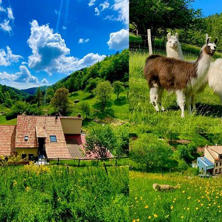 Gîte Saint Ludan Rombach-le-Franc Extérieur photo